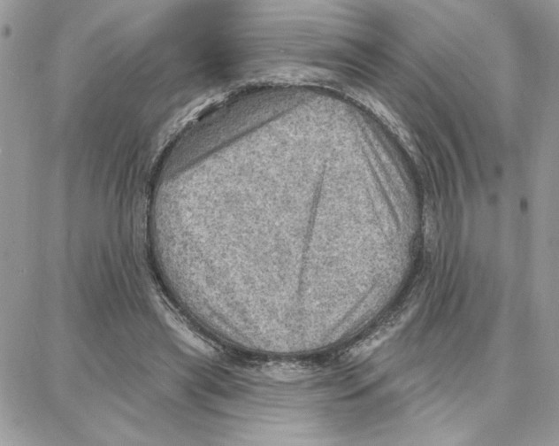 X0000087740445200706041041