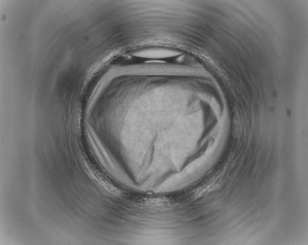 X0000087740446200706041041