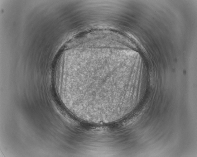 X0000087740447200706041041