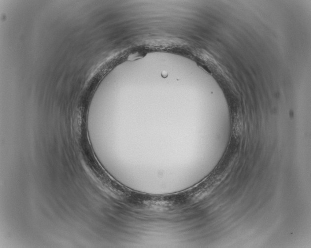 X0000087740448200706041041