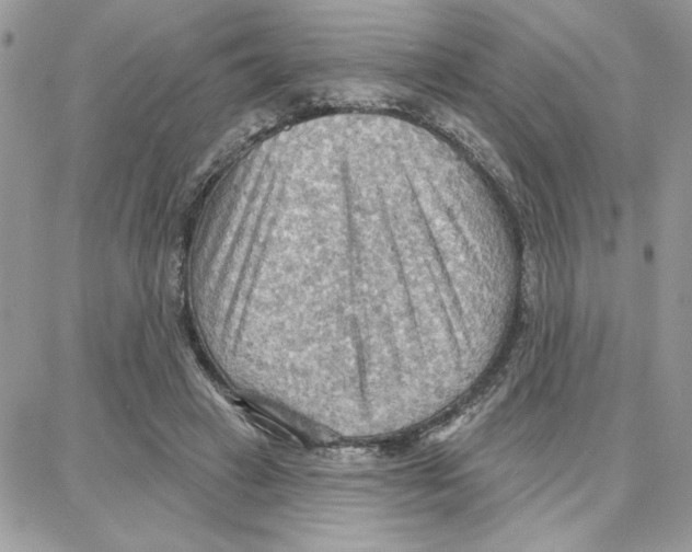 X0000087740449200706041041