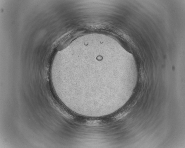 X0000087740450200706041041