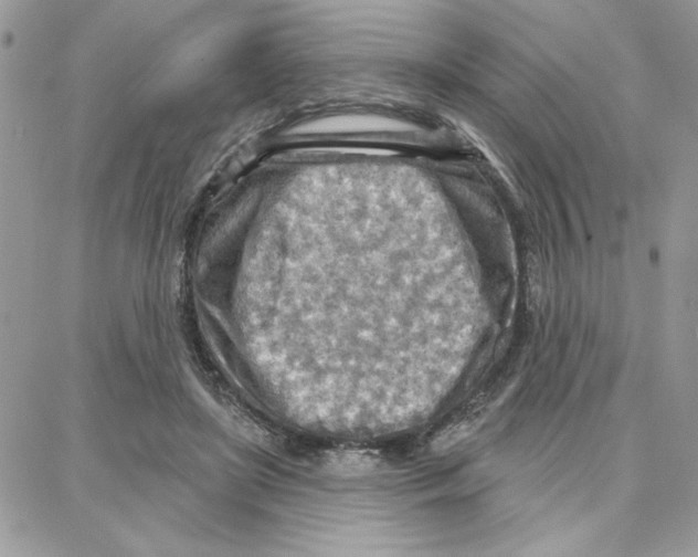 X0000087740451200706041041