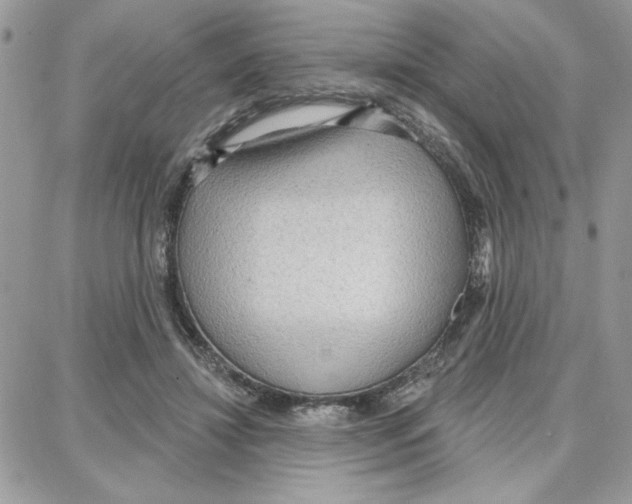 X0000087740452200706041041