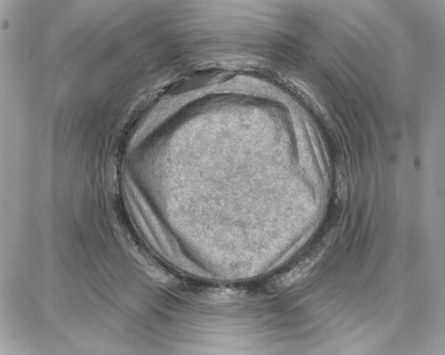 X0000087740453200706041041