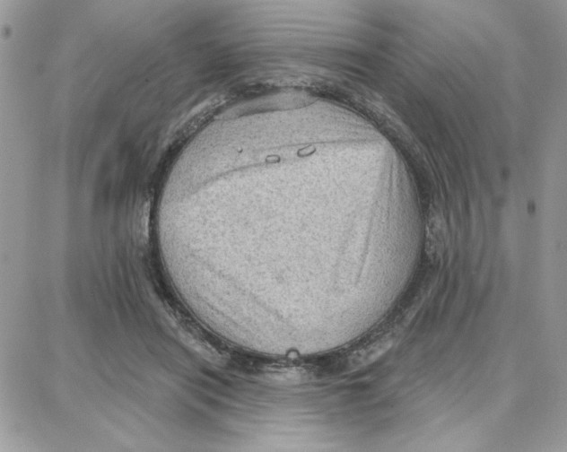 X0000087740454200706041041