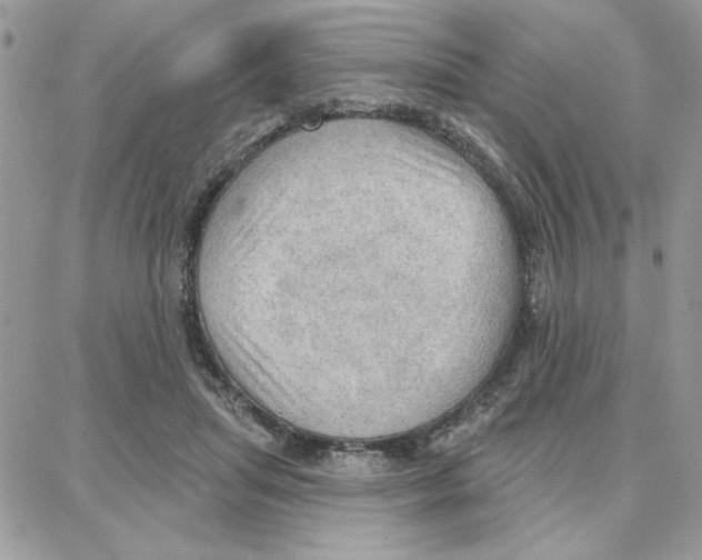 X0000087740455200706041041