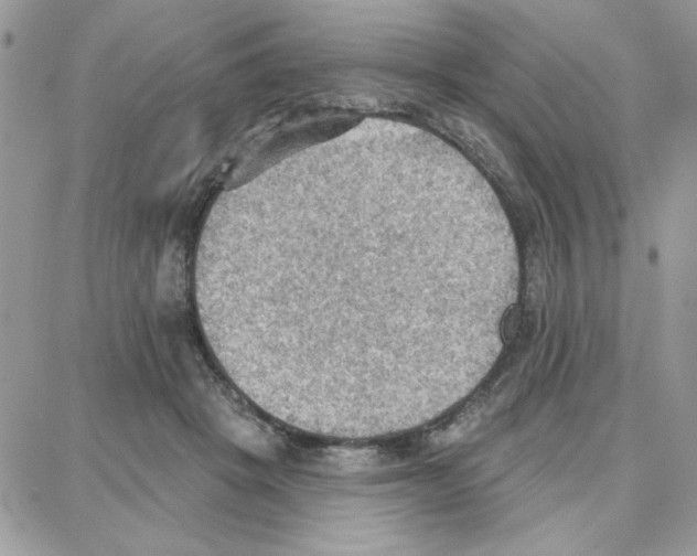 X0000087740457200706041041