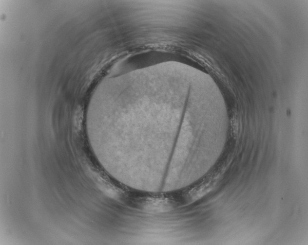 X0000087740458200706041041