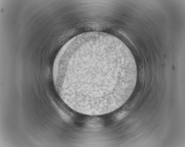 X0000087740459200706041041