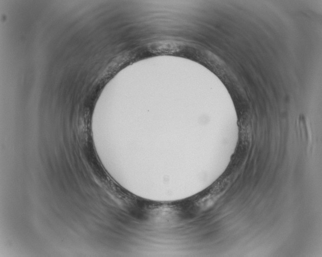 X0000087740460200706041041