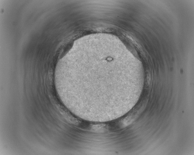 X0000087740461200706041041