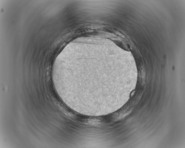 X0000087740462200706041041