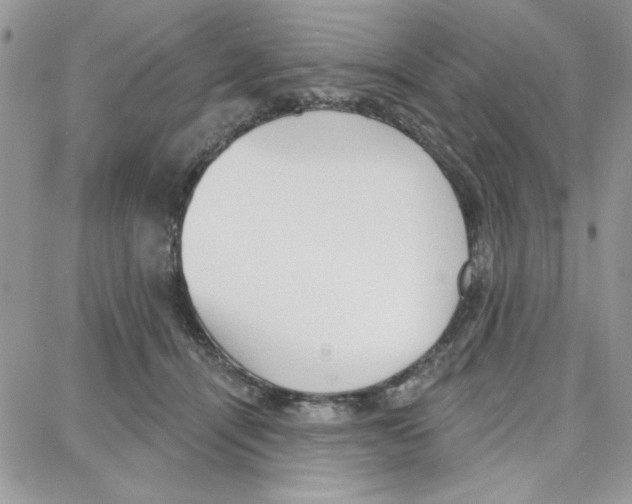 X0000087740464200706041041