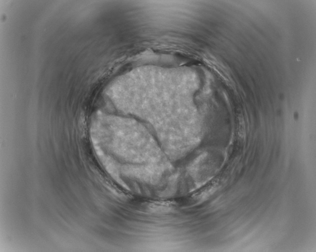 X0000087740465200706041041