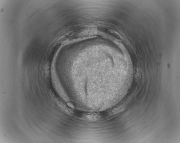 X0000087740466200706041041