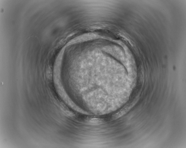 X0000087740467200706041041