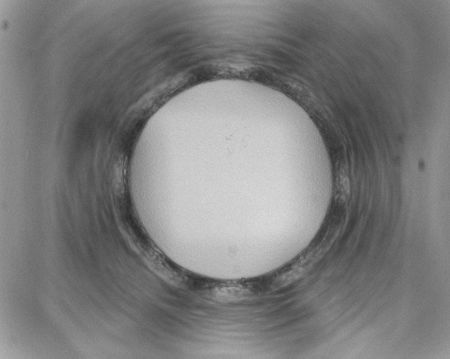 X0000087740468200706041041