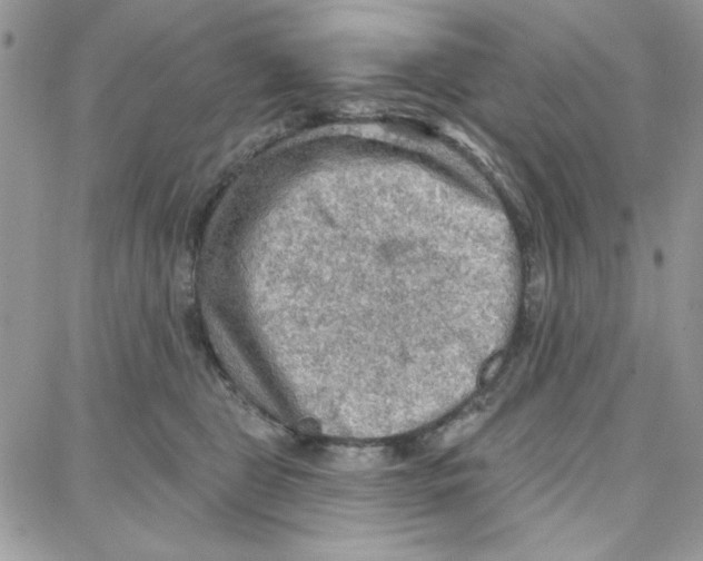 X0000087740469200706041041