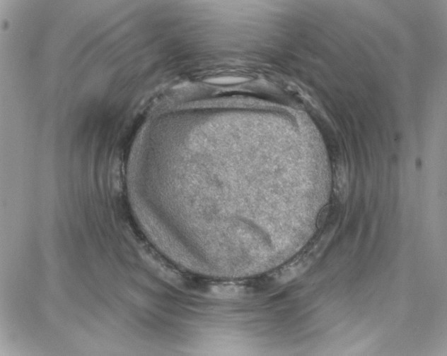 X0000087740470200706041041