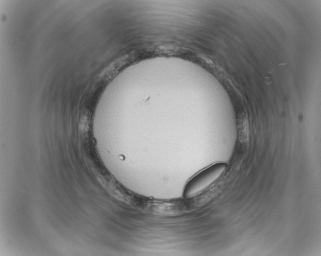 X0000087740472200706041041