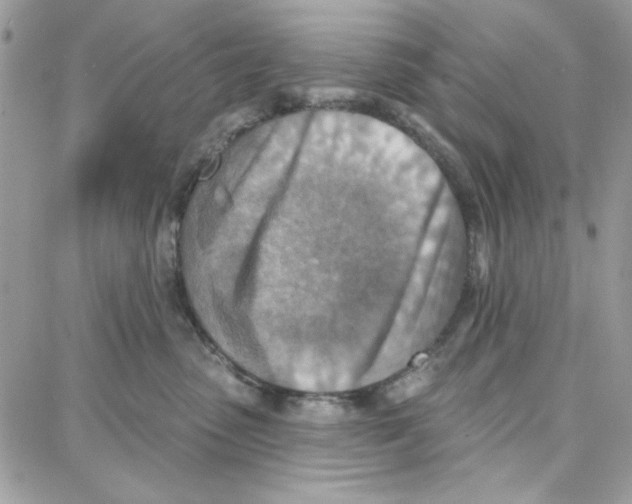 X0000087740475200706041041