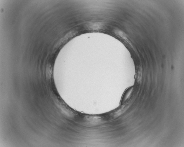 X0000087740476200706041041