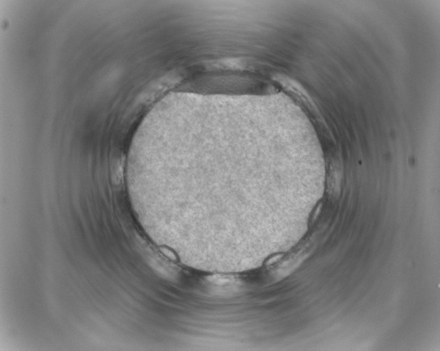 X0000087740477200706041041