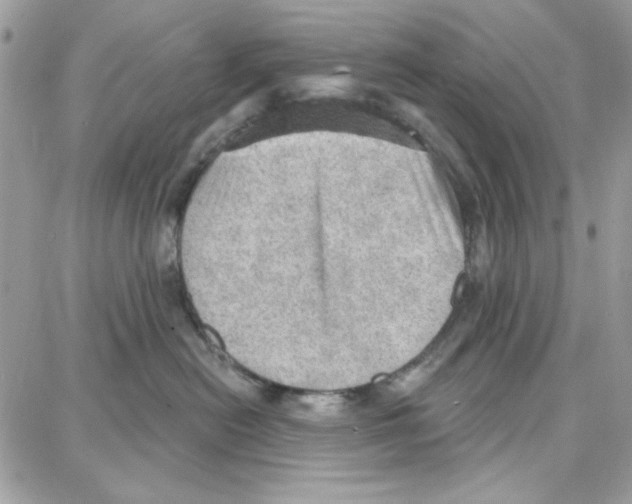 X0000087740478200706041041