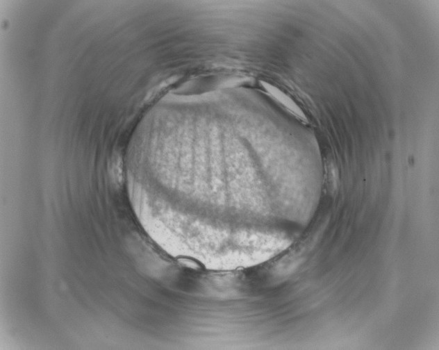 X0000087740479200706041041