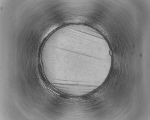 X0000087740482200706041040