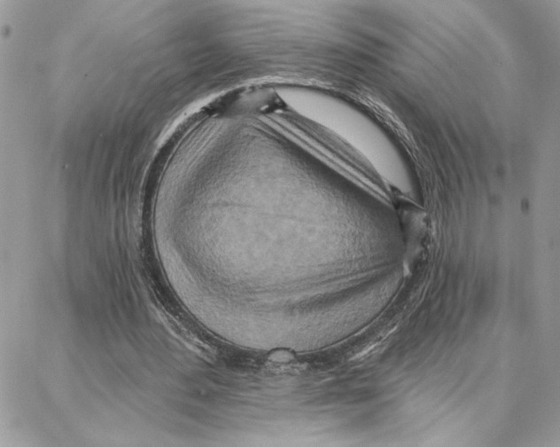 X0000087740484200706041040