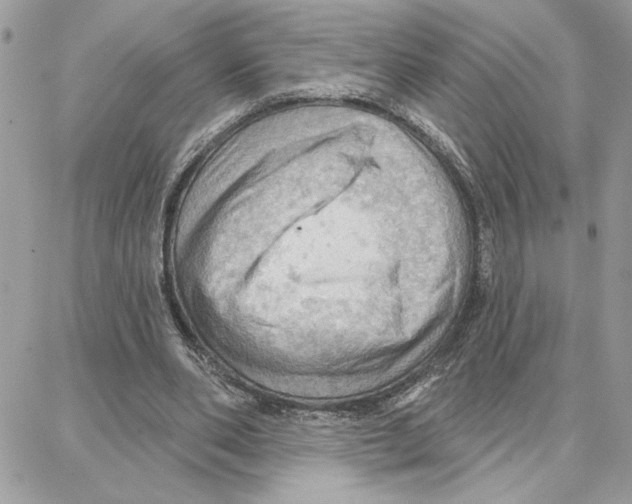 X0000087740486200706041040