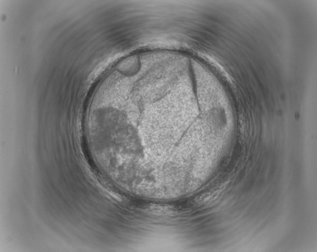 X0000087740487200706041040