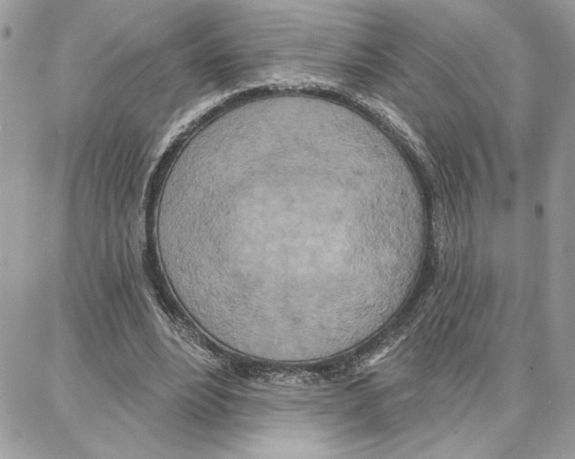 X0000087740488200706041040