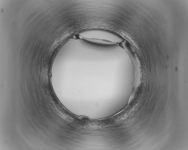 X0000087740489200706041040