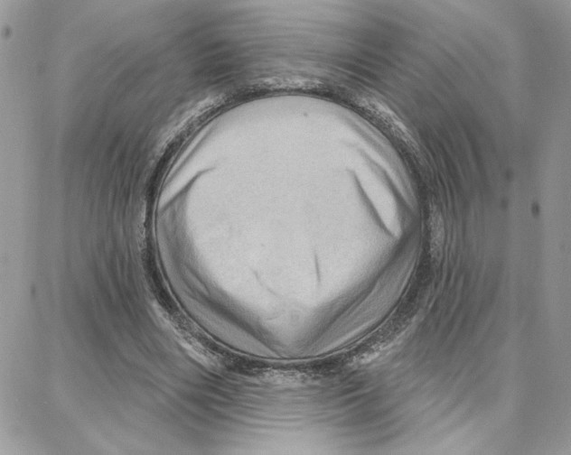 X0000087740490200706041040