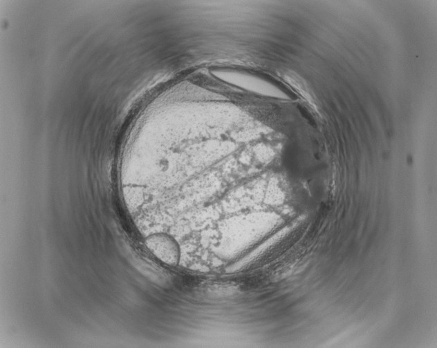 X0000087740491200706041040