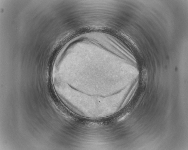 X0000087740494200706041040