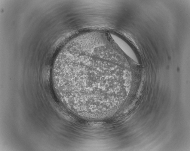 X0000087740495200706041040