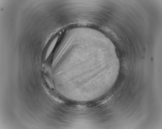 X0000087740496200706041040