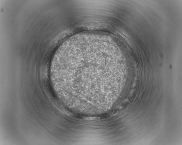 X0000087740499200706041040