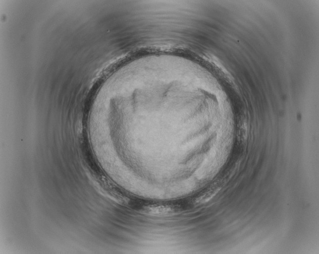 X0000087740500200706041040