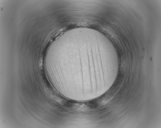 X0000087740502200706041040