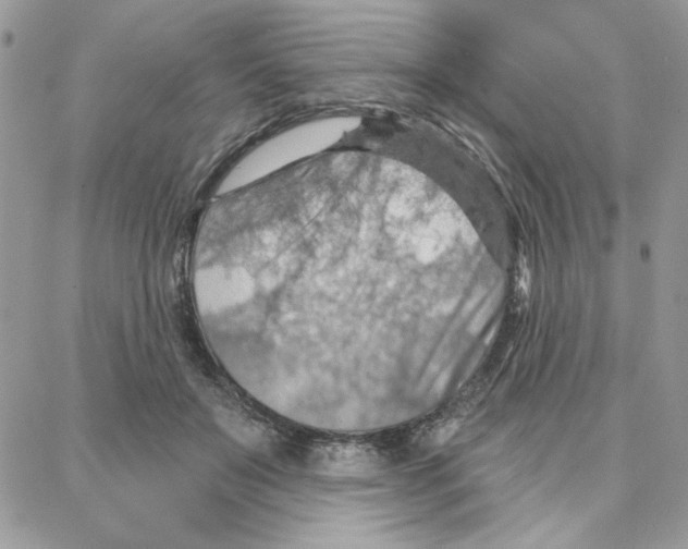 X0000087740503200706041040