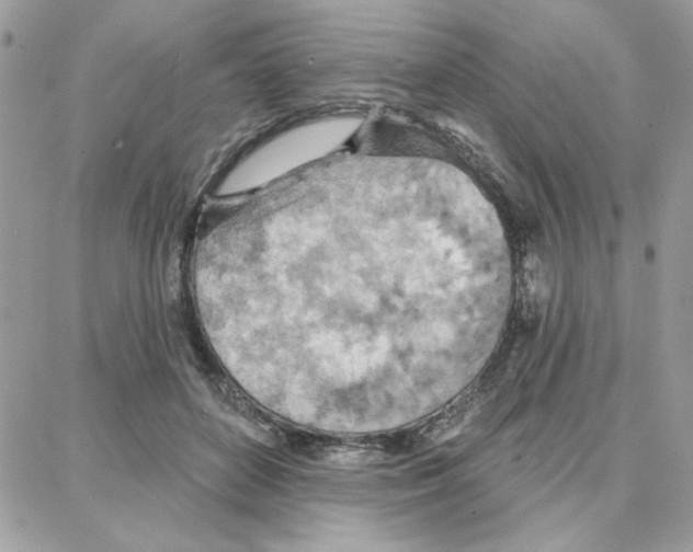 X0000087740504200706041040