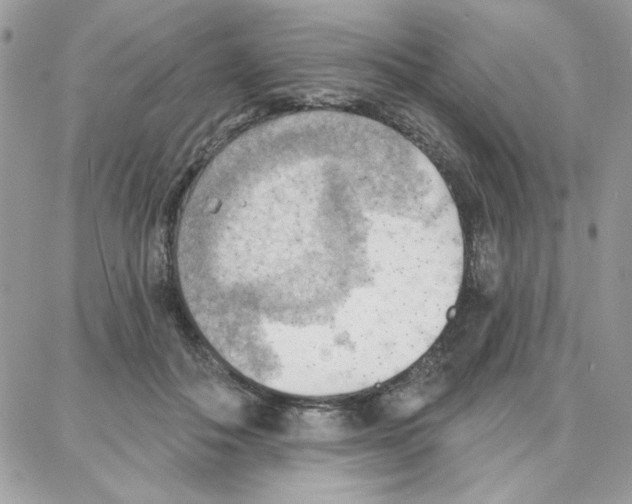 X0000087740506200706041040