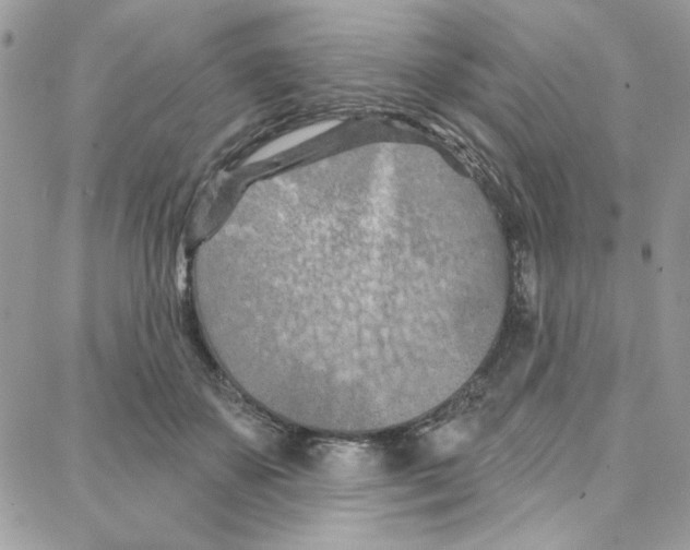 X0000087740507200706041040