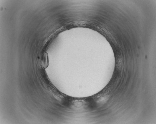 X0000087740508200706041040