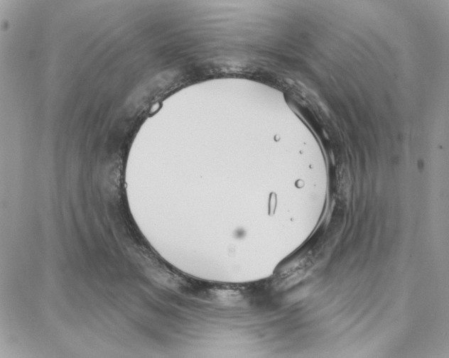 X0000087740509200706041040